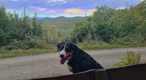 Hanna und der Wartburgblick