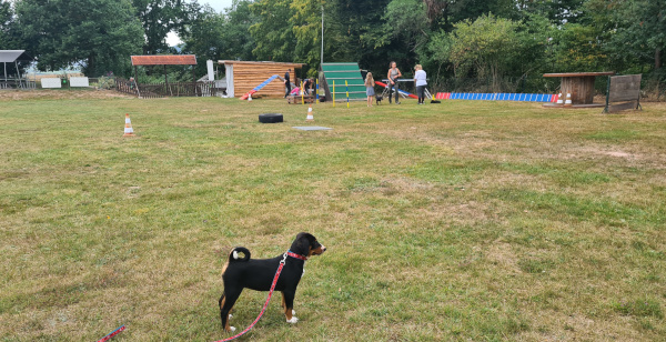 Siwa Schuleinf&uuml;hrung