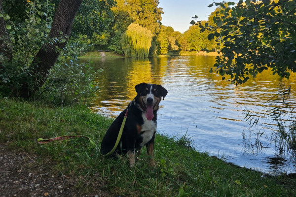Trixie in L&uuml;beck